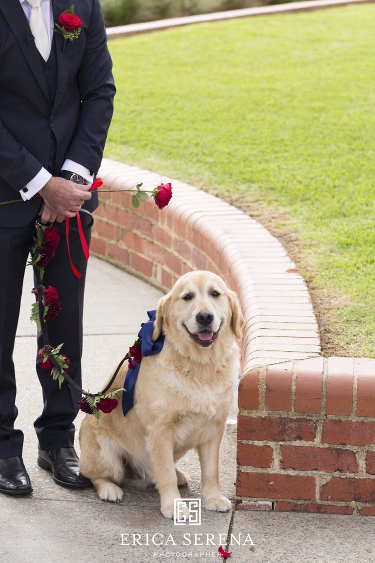 bluewater grill wedding, mardie & co, matthew landers, groom,