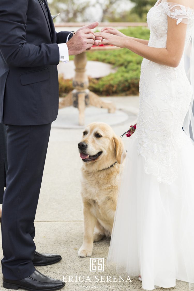 bluewater grill wedding, mardie & co, matthew landers, loui col designs, wedding dog