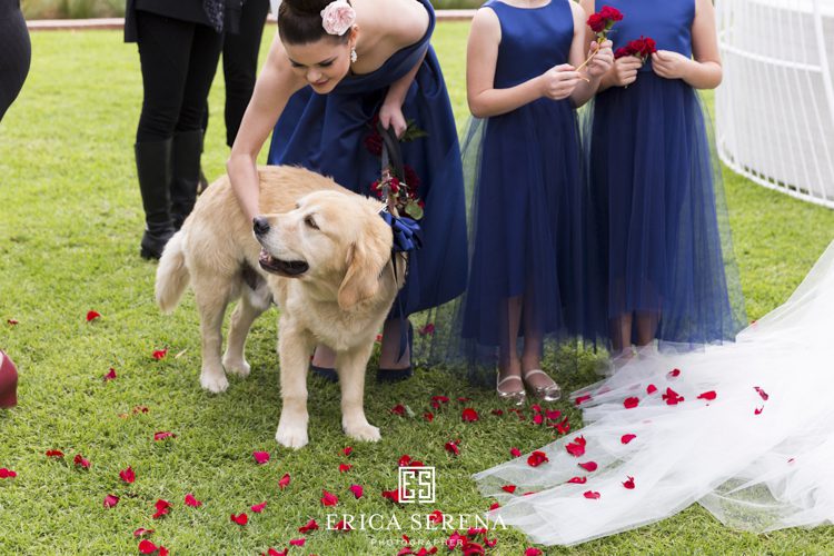 bluewater grill wedding, mardie & co, matthew landers, loui col designs, wedding dog