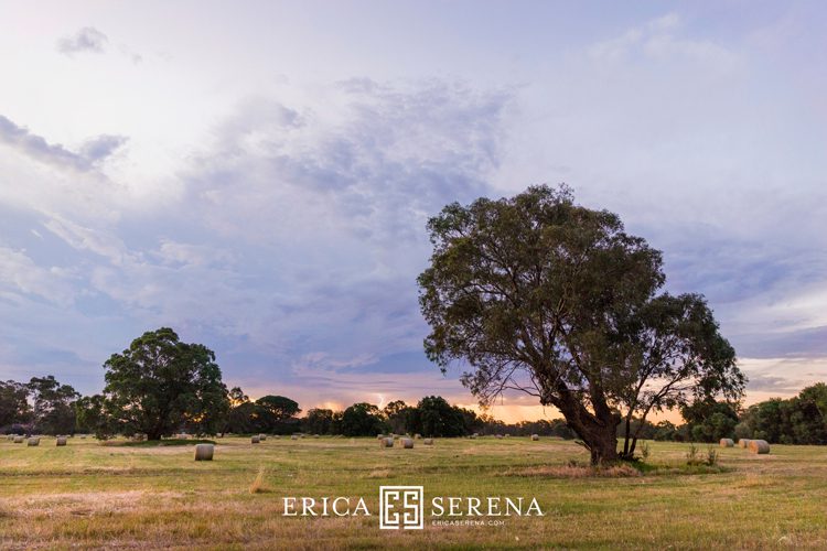 Perth wedding photographer, wedding photography perth, swan valley wedding, wedding at oakover winery middle swan,