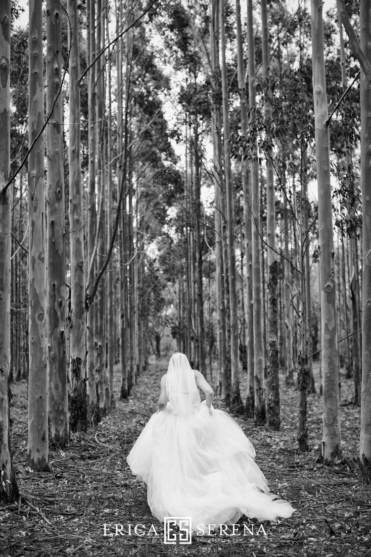 Perth wedding photographer, wedding photography perth, Margaret River wedding, brookland valley estate wedding