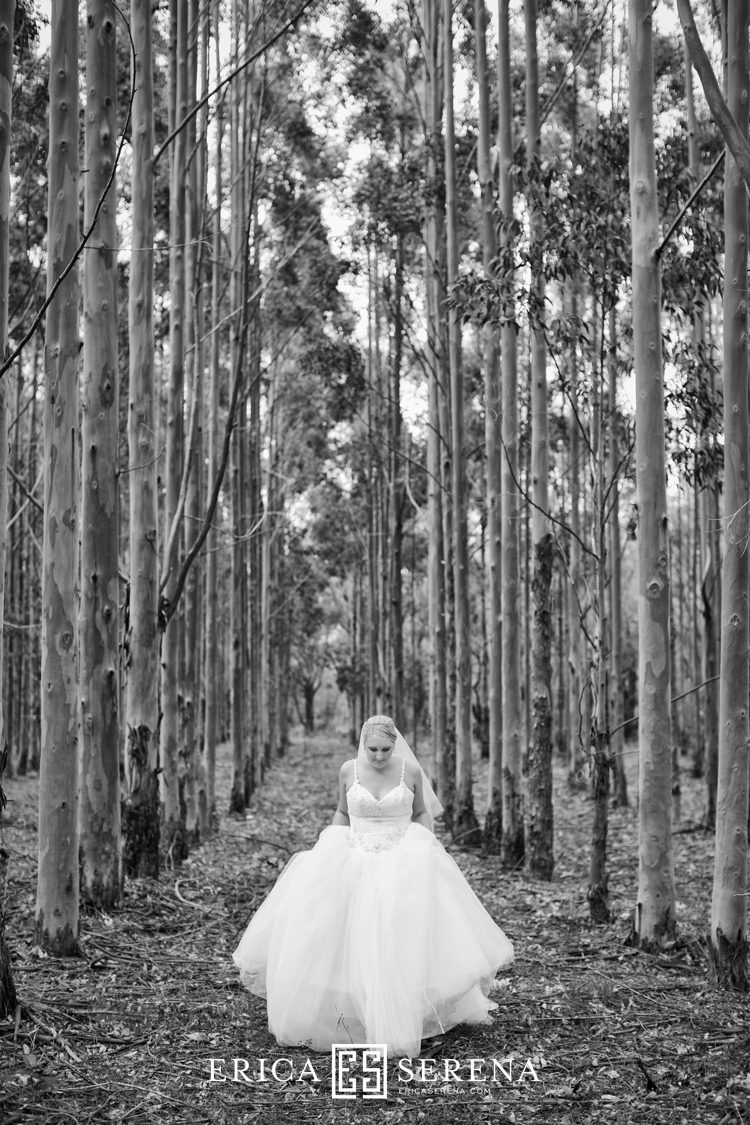 Perth wedding photographer, wedding photography perth, Margaret River wedding, brookland valley estate wedding