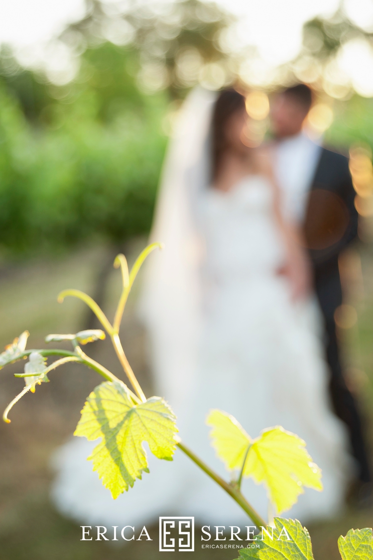 perth wedding photographer, wedding photography perth, wedding at matilda bay, wedding at Sandalford,