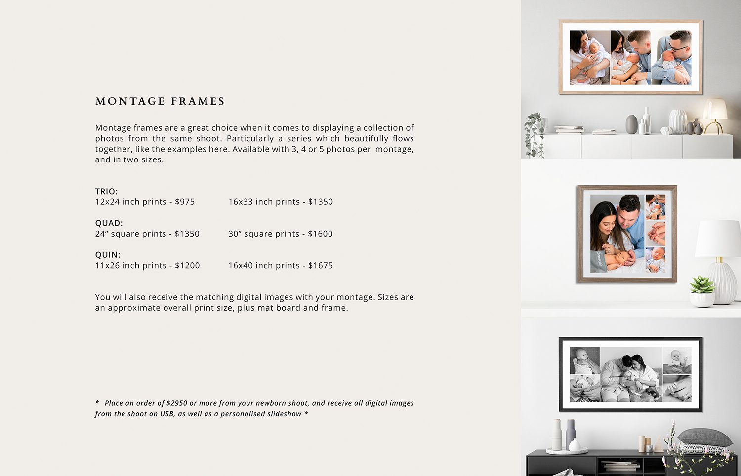 13 - MONTAGE PRICING PAGE
