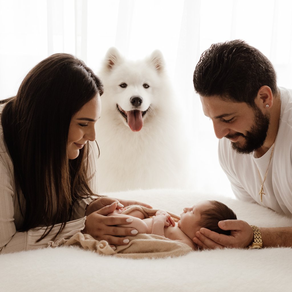 Samoyed dog sitting with newborn baby during Perth newborn photography session