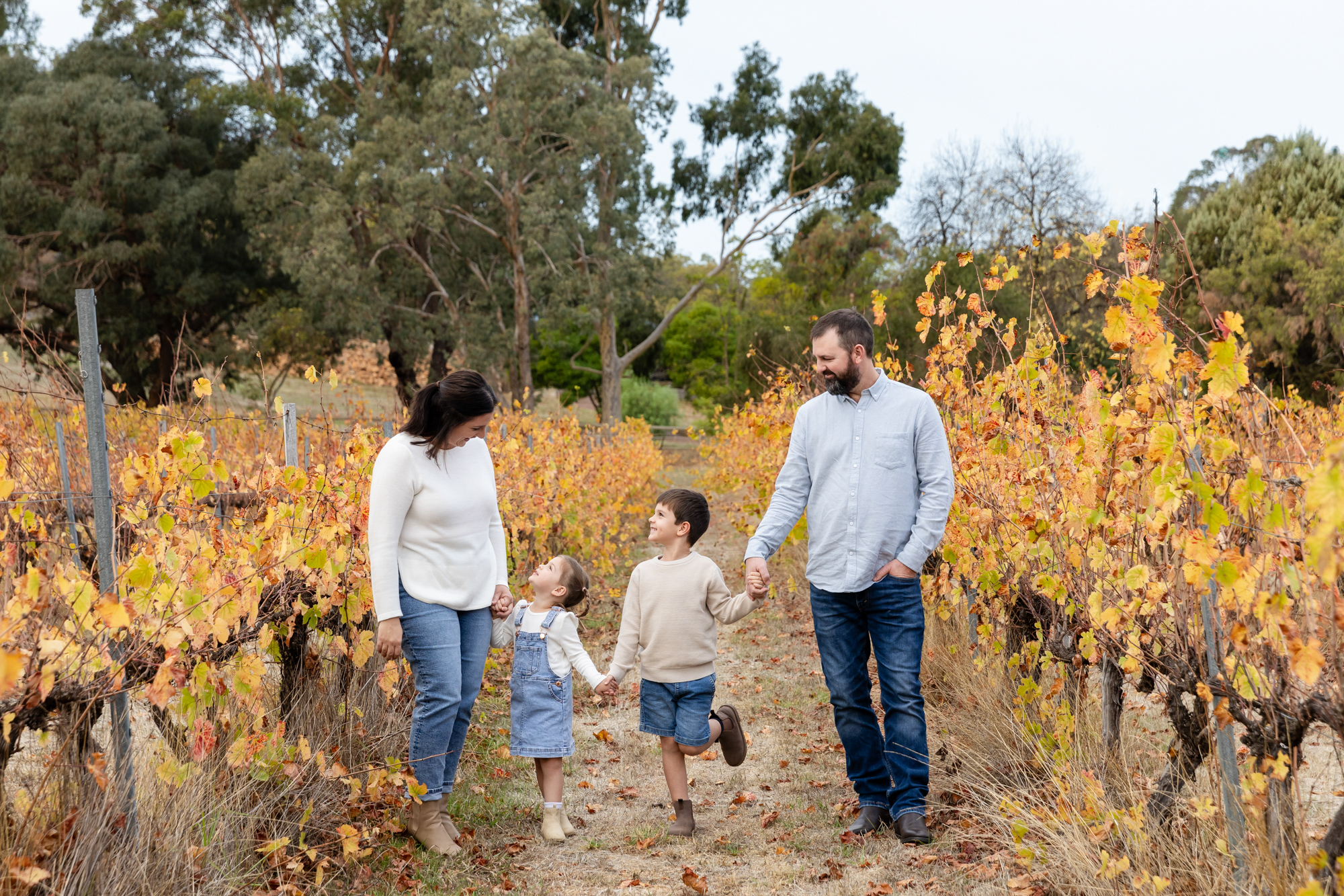 family of four walking through autumn vineyard, family photography Perth