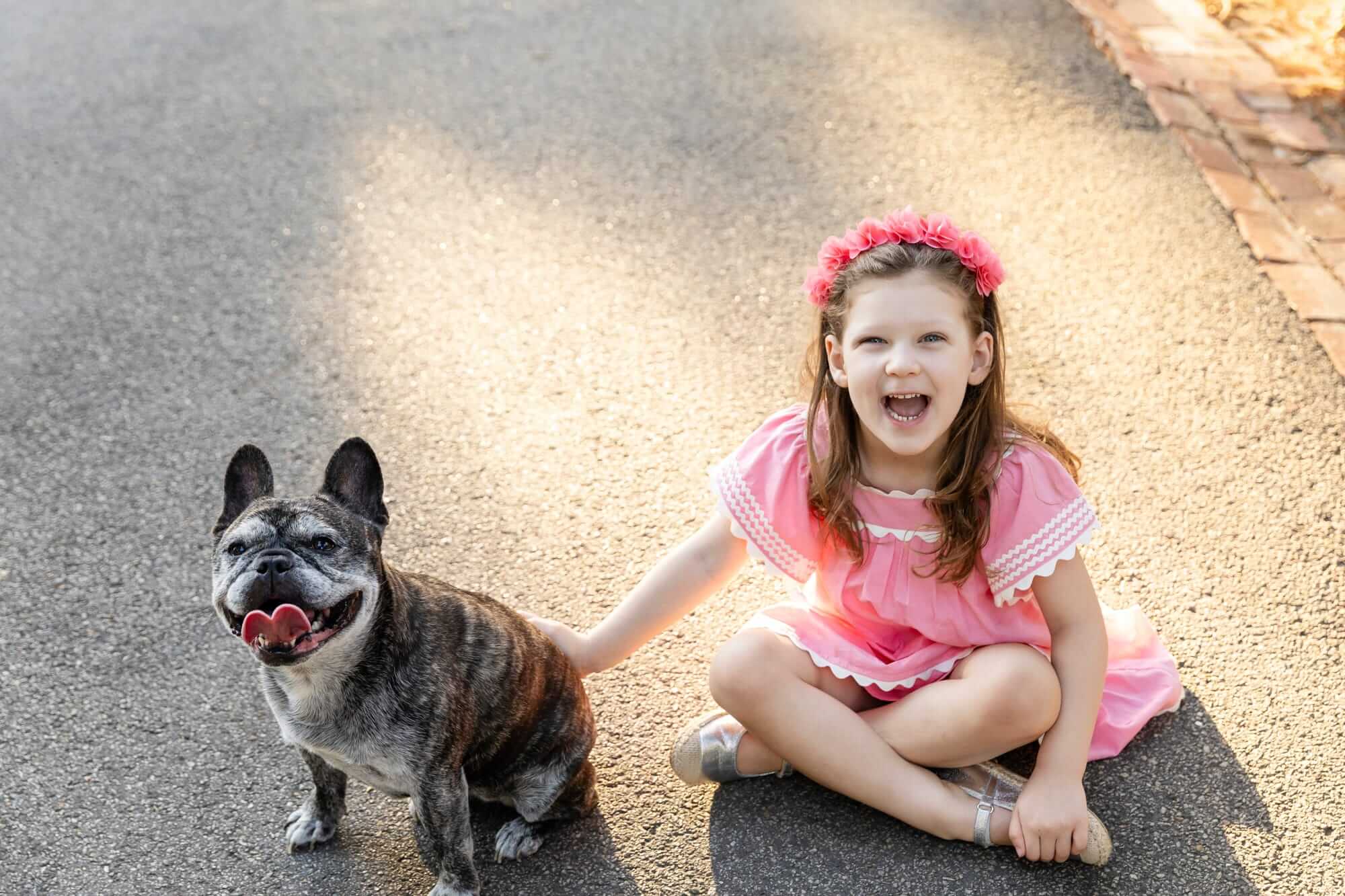Little girl sitting on the ground laughing beside her rescue French Bulldog during a family and dog photography Perth session.